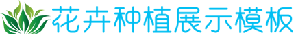 6686官方登录入口,6686下载安装